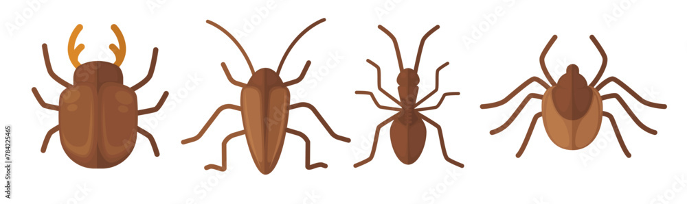 Different Beetle Species Set vector Different Beetle Species Set vector