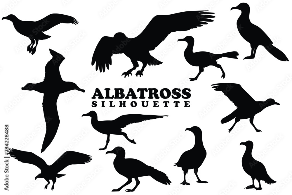 Albatross silhouette collection. Set of black Albatross silhouette. Albatross silhouette set.