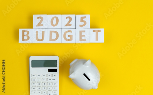 Concept of New year 2025 budget