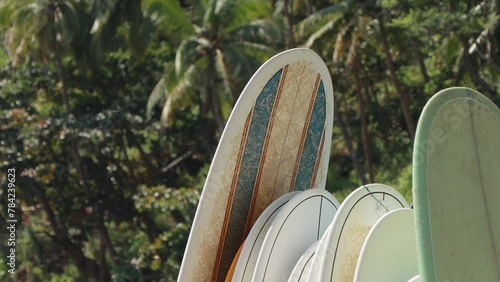 Many surfboards for rent on the tropical beach on the palms background
