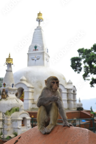 swayambhunath supa, nepal photo