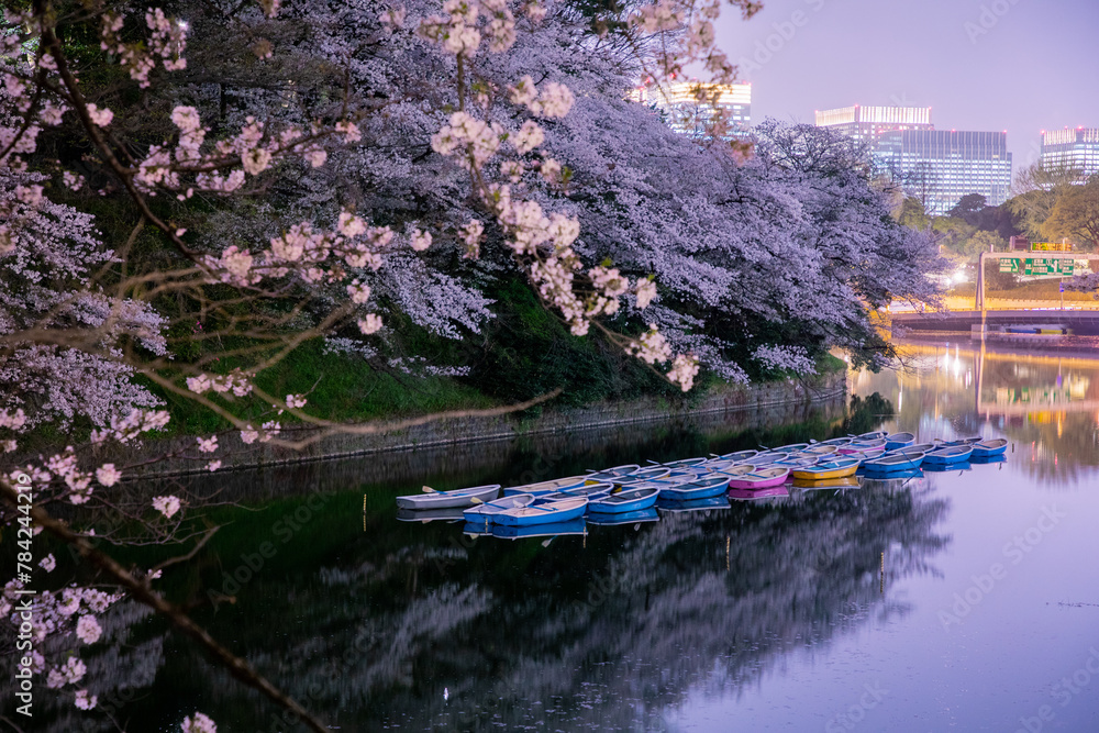 東京都の夜桜、川に浮かぶボート