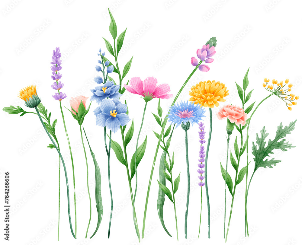 Handdrawn watercolor illustration clipart of detailed Spring Wildflowers meadow compostions collection Floral arrangements greeting cards wedding invitation Elegant ethereal nature