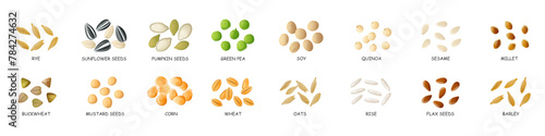 Cartoon seeds. Vector hand drawn cereal products.