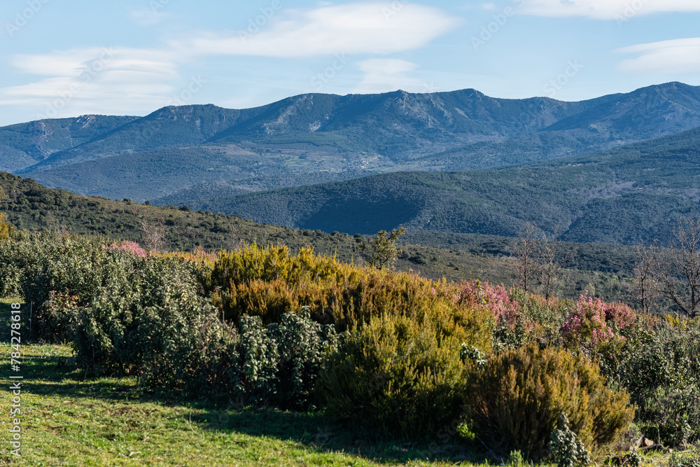 Mountain range and landscapes of the natural park of the northern highlands of Guadalajara, Castilla La Mancha.