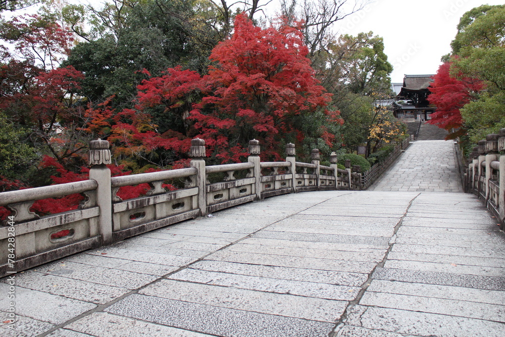 Φωτογραφία The stone bridge and autumn leaves in Otani-Hombyo, Kyoto, Japan
