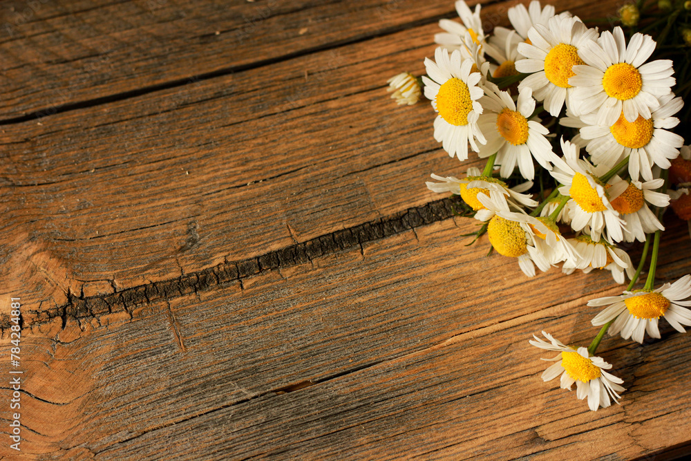 Obraz premium chamomile on a wooden background, place for text, romantic mood