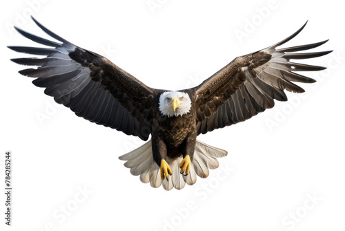 Eagle flying   Isolated on transparent background.