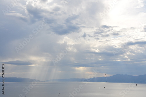 Seagull birds flying over the water with sun rays background. Bird Flying over Sun Rays. Scenic View Of Sea Against Sky.