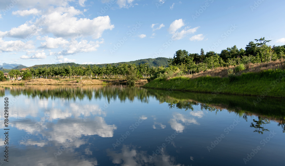 Landscape of the beautiful pond