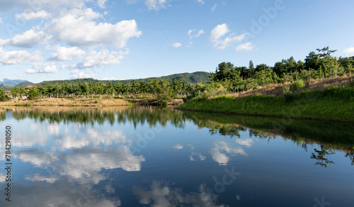 Landscape of the beautiful pond © xy