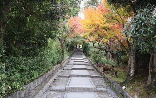 Daidokoro-Zaka Slope and autumn leaves in Kodaiji Temple, Kyoto, Japan