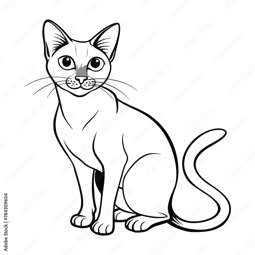 Cat vector illustration black and white cat outline