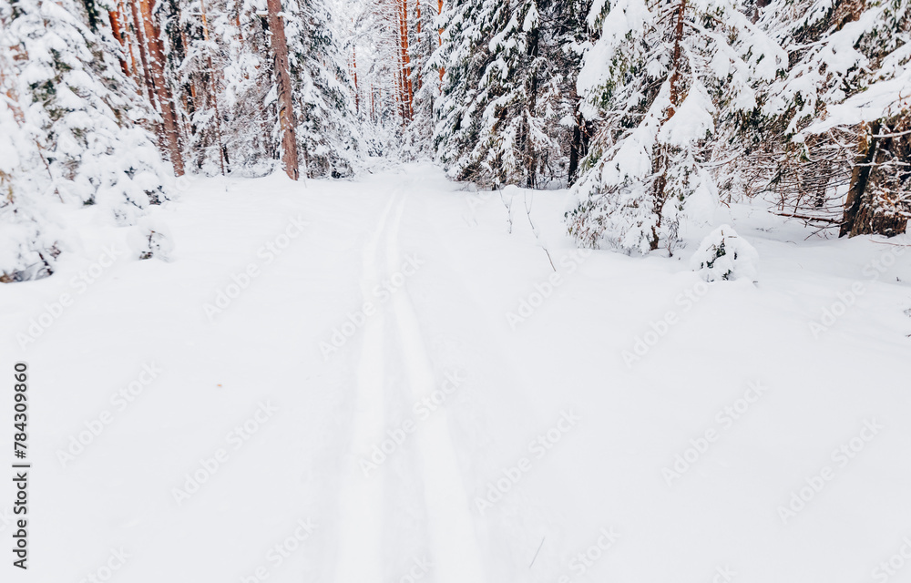 winter's day winter's day
