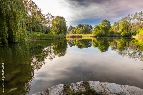 Teichufer im Kurpark Oberlaa in Wien mit perfekten Reflektionen im Wasser photo
