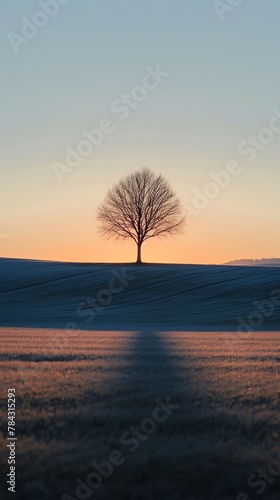 A minimalist scene of a single tree casting a long shadow at sunset  symbolizing serene solitude