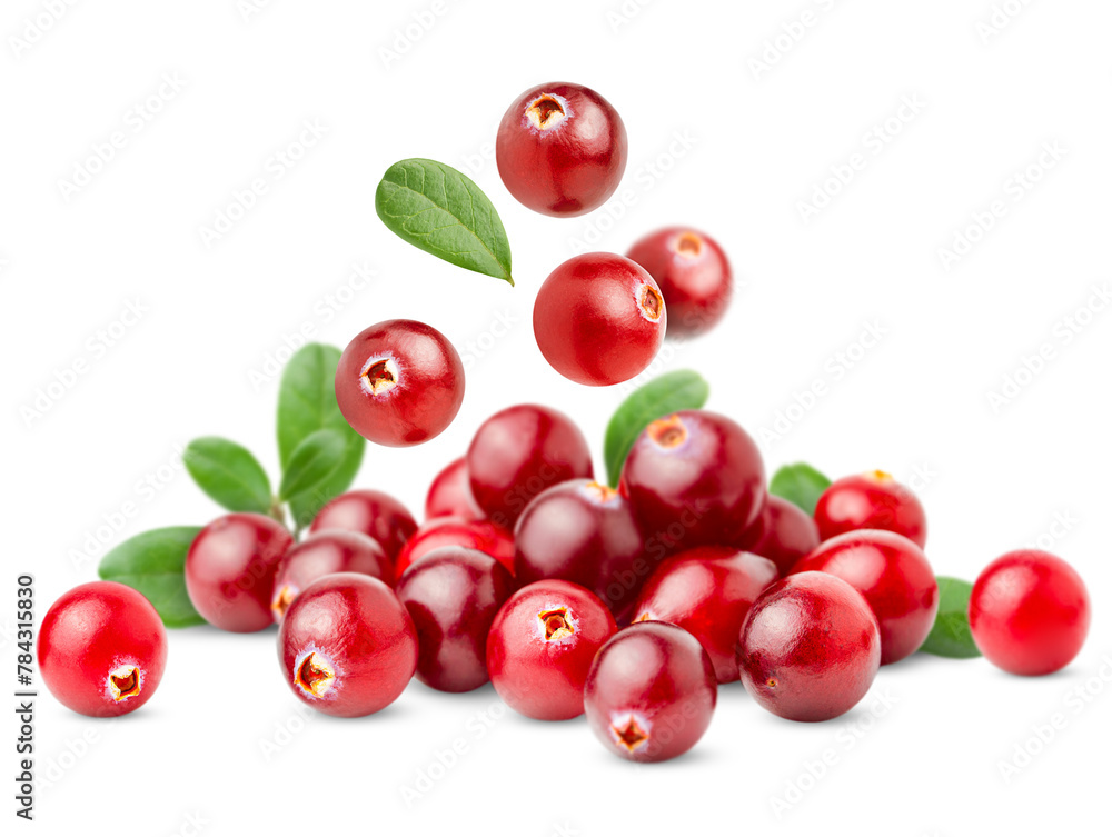 pile with falling cranberries and leaves on a white isolated background pile with falling cranberries and leaves on a white isolated background