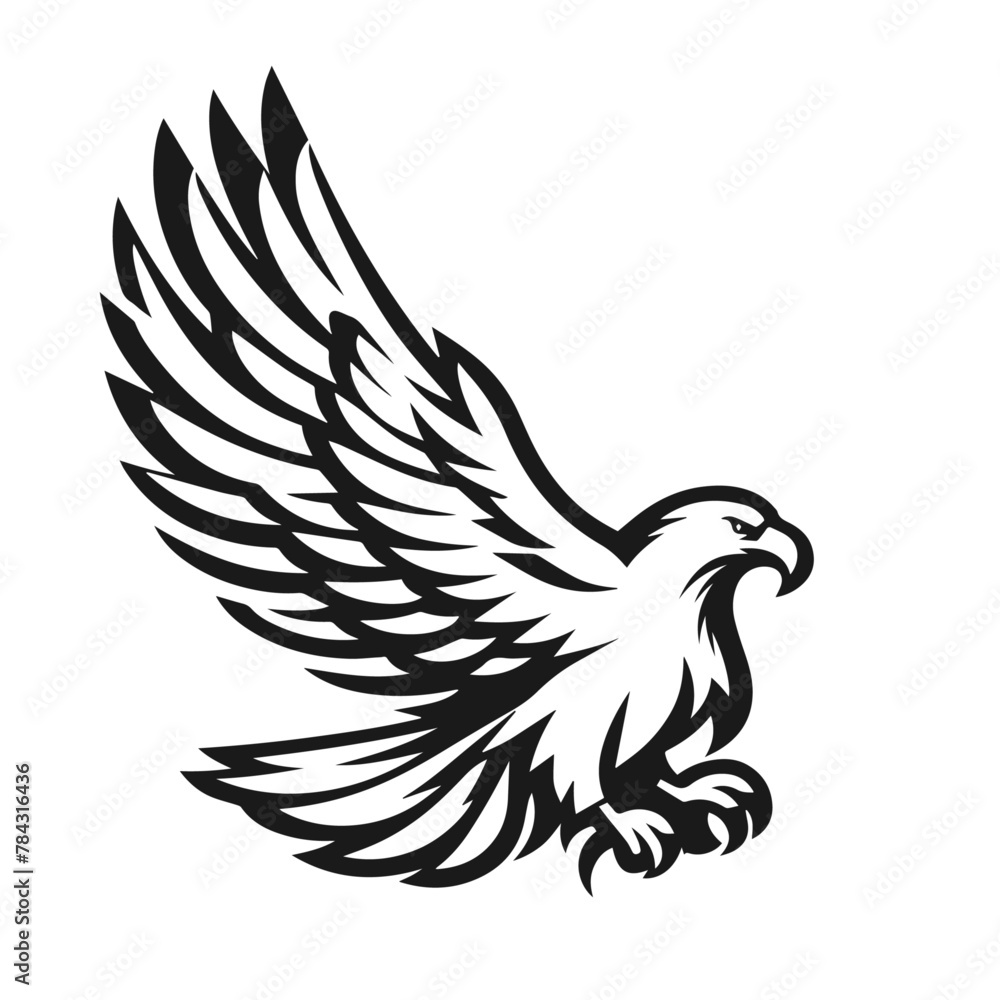 Fototapeta premium A large wild bird eagle flies with outstretched wings. Vector drawing linear sketch isolated on white background. 