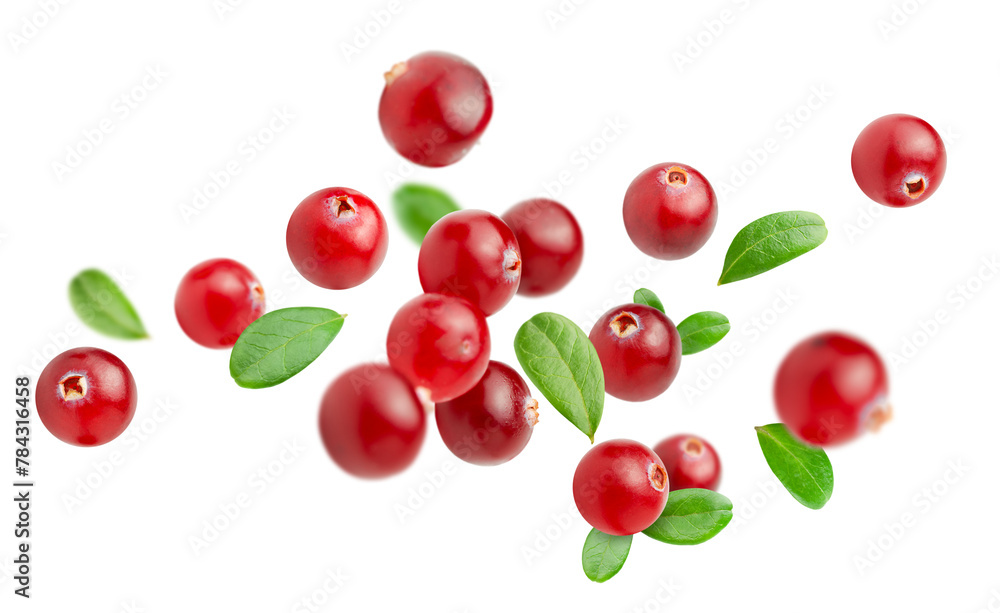 falling cranberry berries with leaves on a white isolated background falling cranberry berries with leaves on a white isolated background
