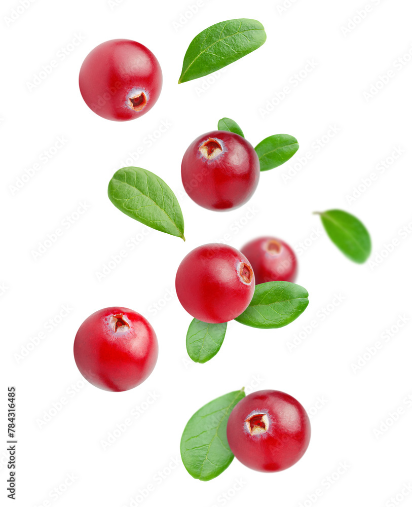 image to crop