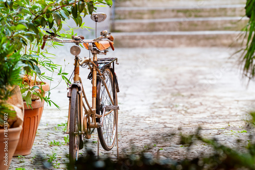 Bicicletta in stile retrò con specchietto parcheggiata vicino a delle piante in un borgo antico photo