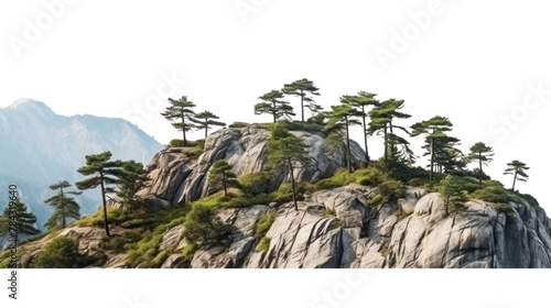 The trees. Mountain on the island and rocks isolated on transparent and white background.PNG image.