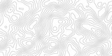 White topography topology vector abstract background contour design