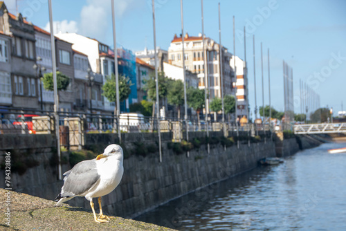 At Baiona - Spain -  on november 2023 - the port of the coastal city of Galicia on atlantic ocean photo