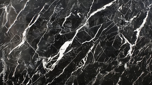 A close-up of a polished black marble surface with intricate natural white veins, emphasizing the beauty of organic patterns and materials