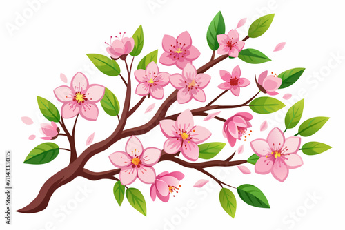 illustration-of-cherry-blossom-on-white-background © Jutish