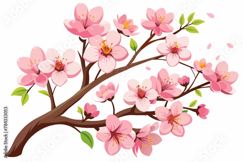 illustration-of-cherry-blossom-on-white-background