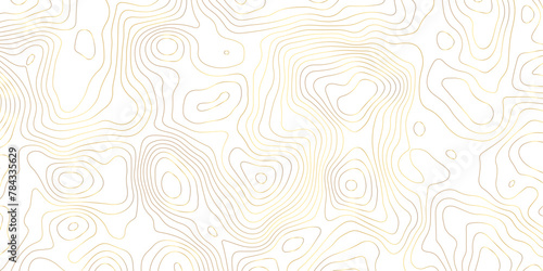 Golden stroke white background topography and topology vector