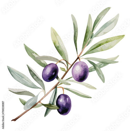 IMG_2420~photoTitle	
Watercolor vector of olive on branch with leaves, isolated on a white background, design art, drawing clipart, Illustration painting, Graphic logo, Olive vector	
