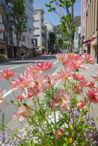 花で彩られた神戸三宮の街角。北野坂で撮影 © 宮岸孝守