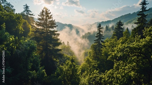 AI generated illustration of Misty forest and mountain scene while Sun is shining in the background photo