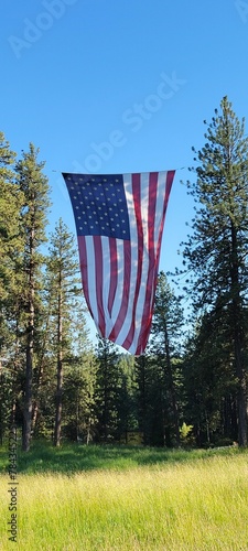 Panoramic shot of an americal flag with a forest in the background photo
