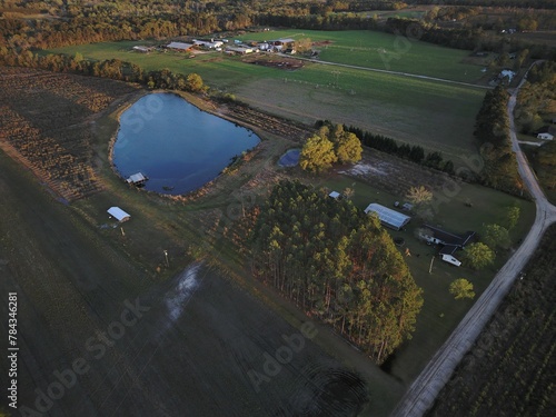 Vászonkép Drone shot of a pond surrounded by greenery at daytime in Alma, Georgia