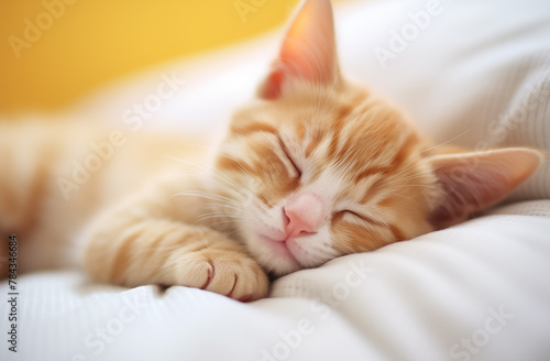 Ginger cat peacefully asleep on a white pillow and cozy blanket, AI-generated. © Wirestock