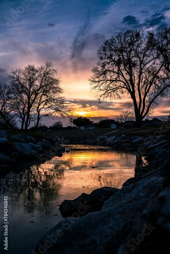 Vertical shot of river and trees on the shore in shadow during beautiful sunset