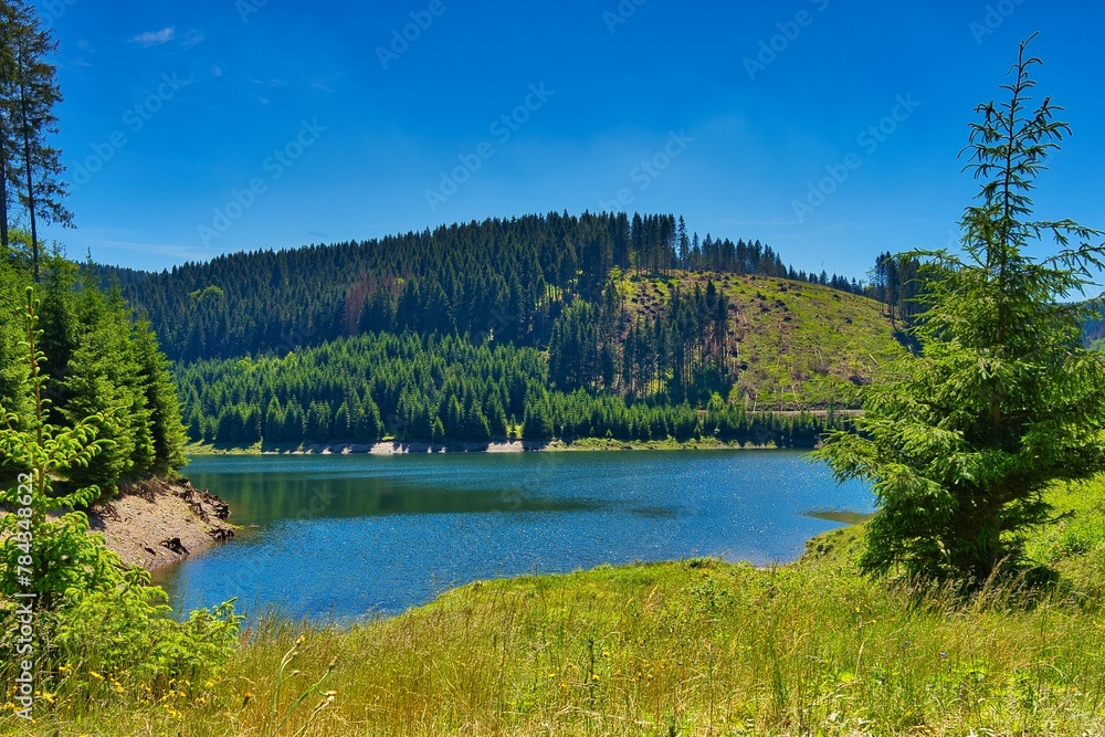 Beautiful shot of a lake surrounded by forest mountains