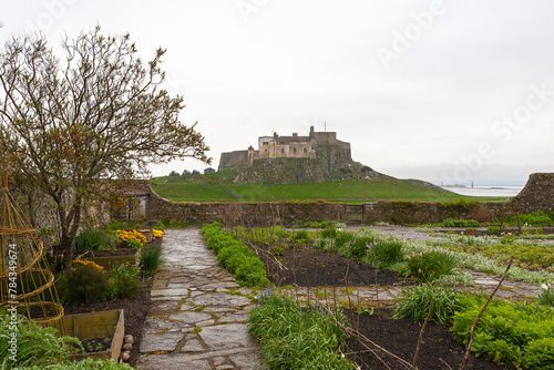 The Gertrude Jekyll Garden, designed in 1901, and Lindisfarne Castle, refurbished in the same year in the Arts and Crafts style by Sir Edwin Lutyens: Holy Island, Northumberland, UK