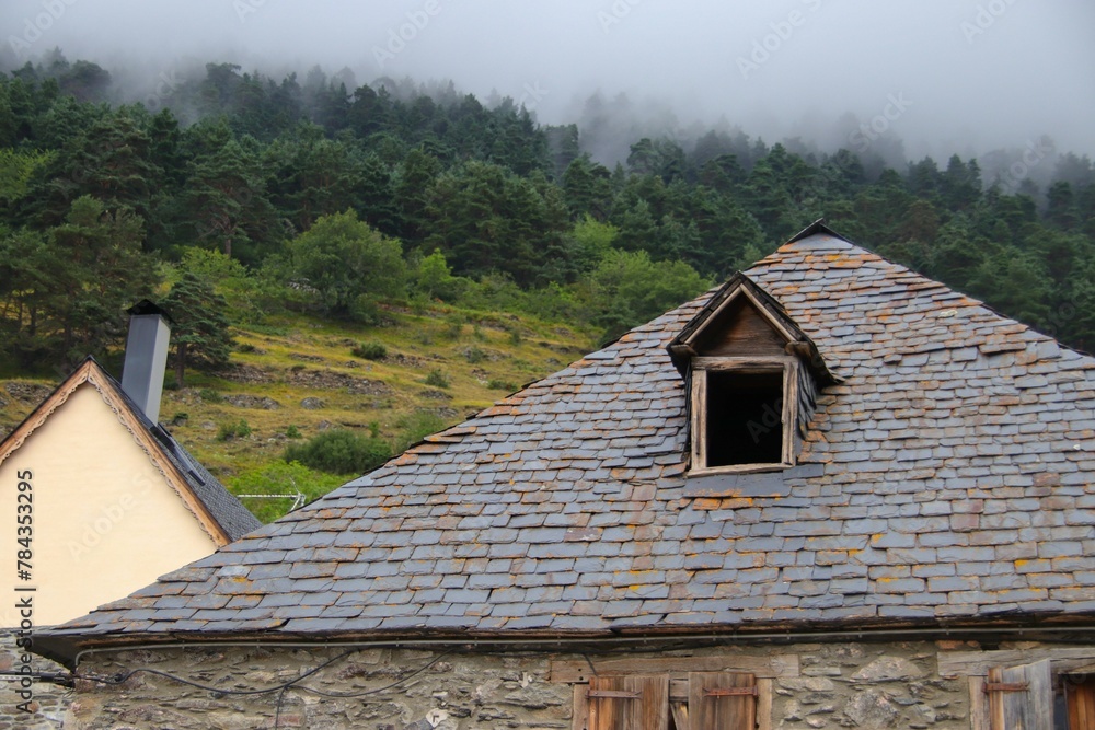 Old tiled rural roof of a house against a lush forest on the slope of a hill in mist