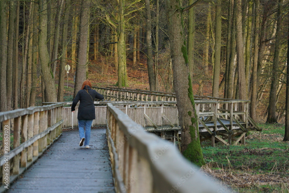 Fototapeta premium Back view of a female walking on the Ocean Bridge in the forest in Harpstedt, Germany