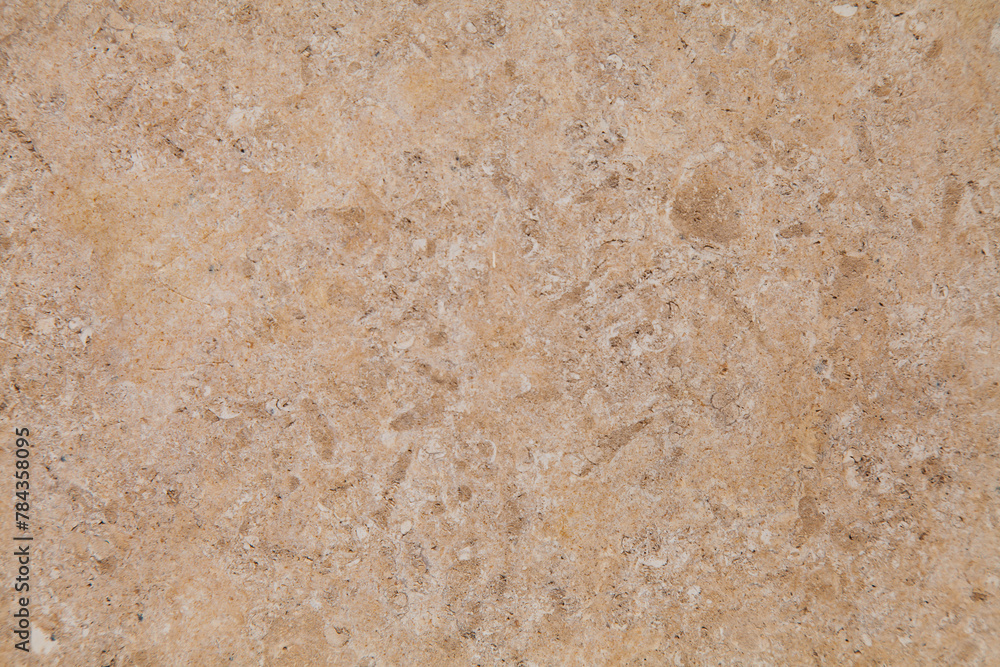 Texture of natural shell rock as a background. Texture of natural shell rock as a background.