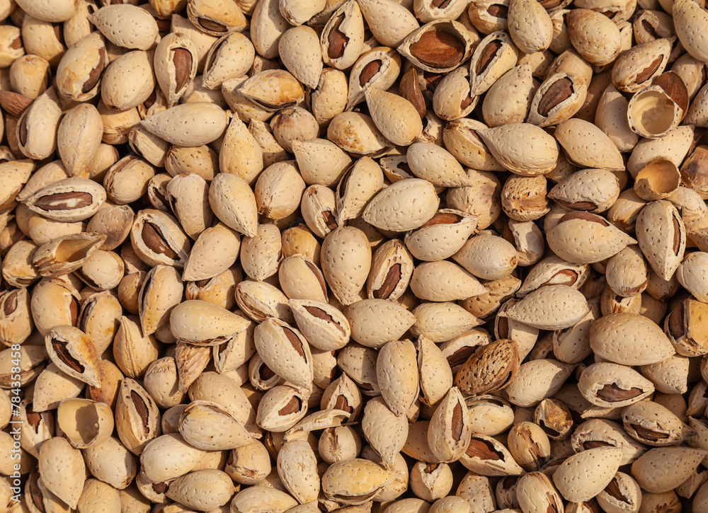 Unshelled almonds are sold in the market. Unshelled almonds are sold in the market.