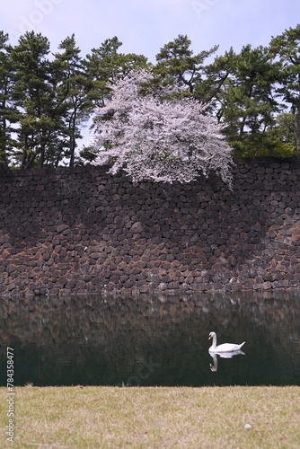 日本、東京の皇居のお堀の風景