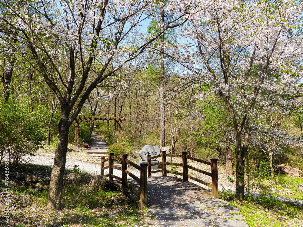 path in the park