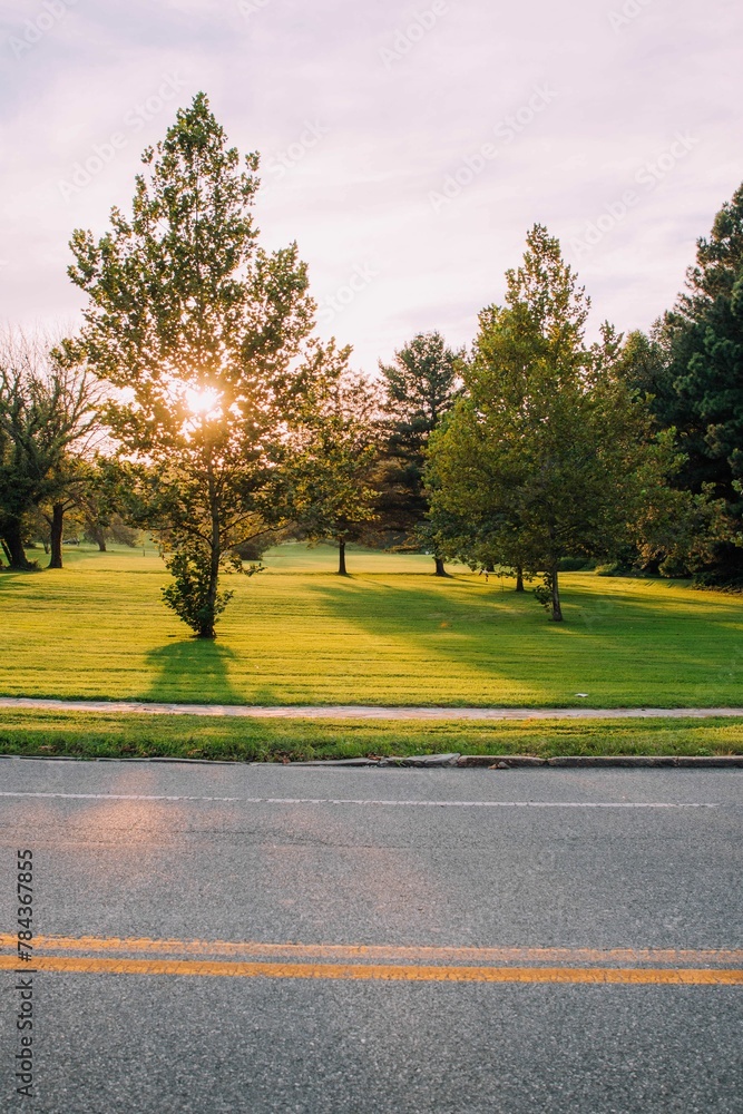 Vertical view of a road before the grass and trees at sunset Vertical view of a road before the grass and trees at sunset