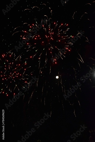 Vertical shot of fireworks illuminating the dark night sky