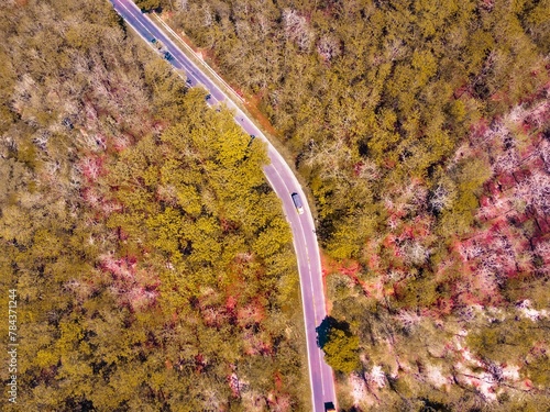 Aerial of a commercial truck driving along a road between forests in Situbondo, East Java, Indonesia photo